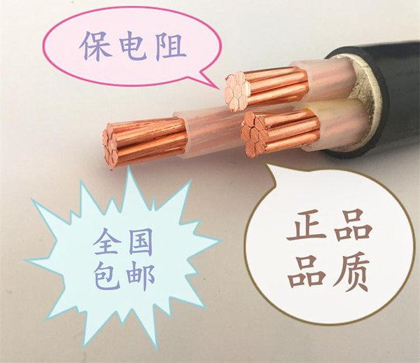 福建南平福通電線電纜電線