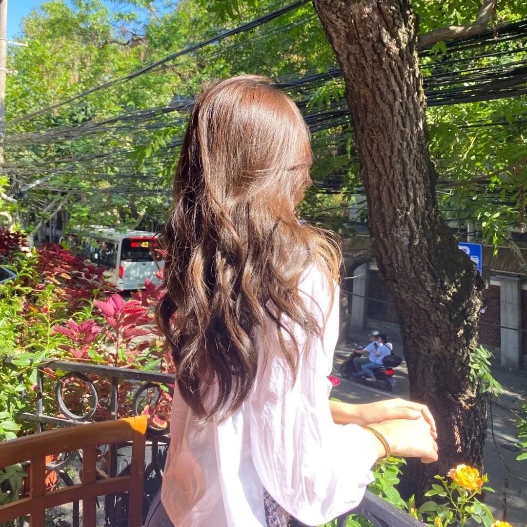 多龙芝