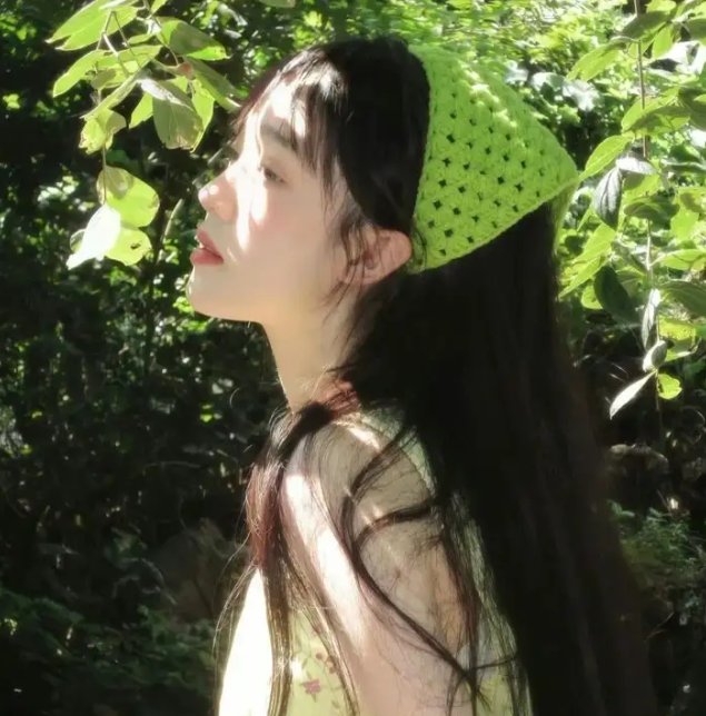 山有木兮木有心
