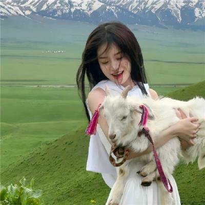 阿比盖尔的派对